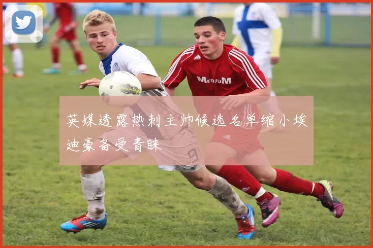 英媒透露热刺主帅候选名单缩小埃迪豪备受青睐